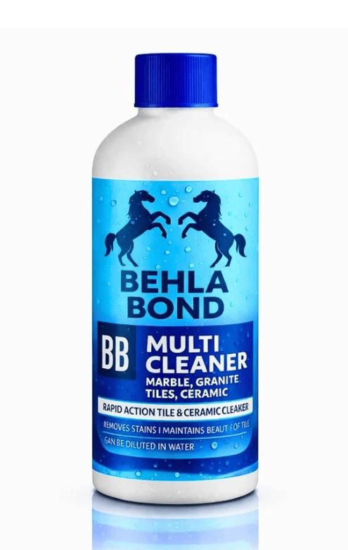 BB Multi Cleaner 200 ml Pack of 1